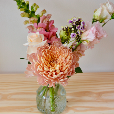 "A charming arrangement featuring a large peach chrysanthemum as the focal point, complemented by pink snapdragons, lisianthus, and delicate purple accents. This petite bouquet in a decorative glass vase is perfect for birthdays, thinking of you, or as a small gesture of appreciation. Available for local delivery in Wake Forest, NC.